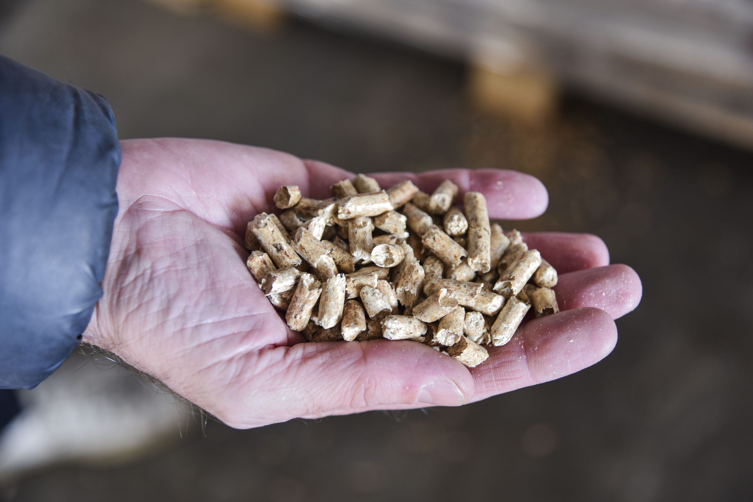 PELLET